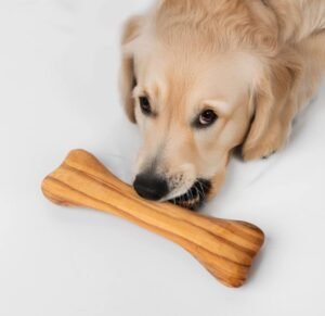 Wooden Animal Dog Bone for 7-12 Months